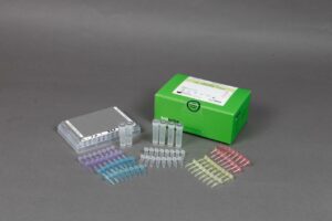 accupower® hbv quantitative pcr kit 1